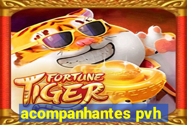 acompanhantes pvh